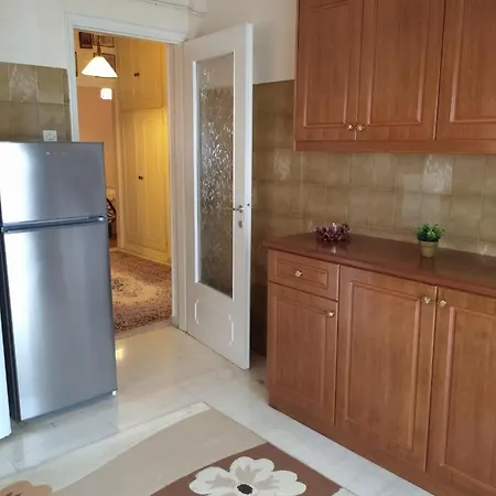 Niki's House άνετο διαμ/σμα 106τμ 2 υπνοδωματίων アパート