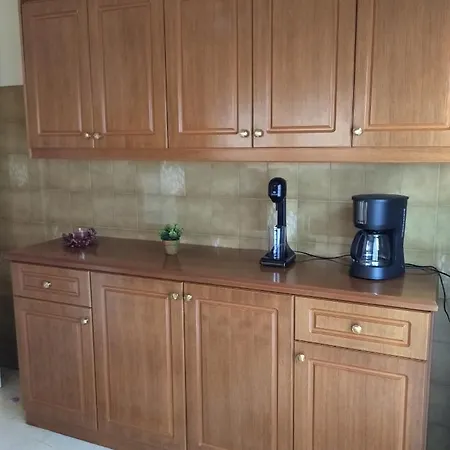 Niki's House άνετο διαμ/σμα 106τμ 2 υπνοδωματίων * ヴォロス
